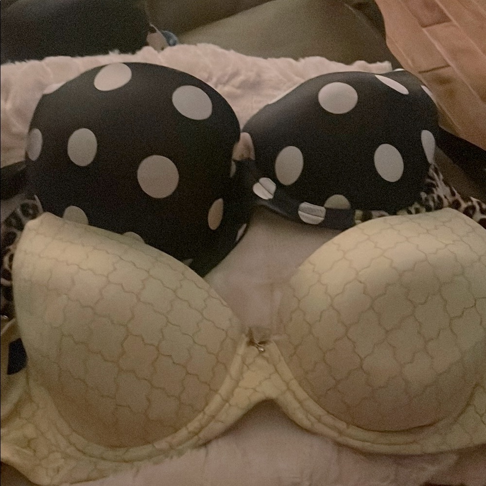 Lot of 34DD bras